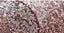 Ombre Homecoming Dress, Sheath V Neck Sparkly Short Party Dresses UQH0017
