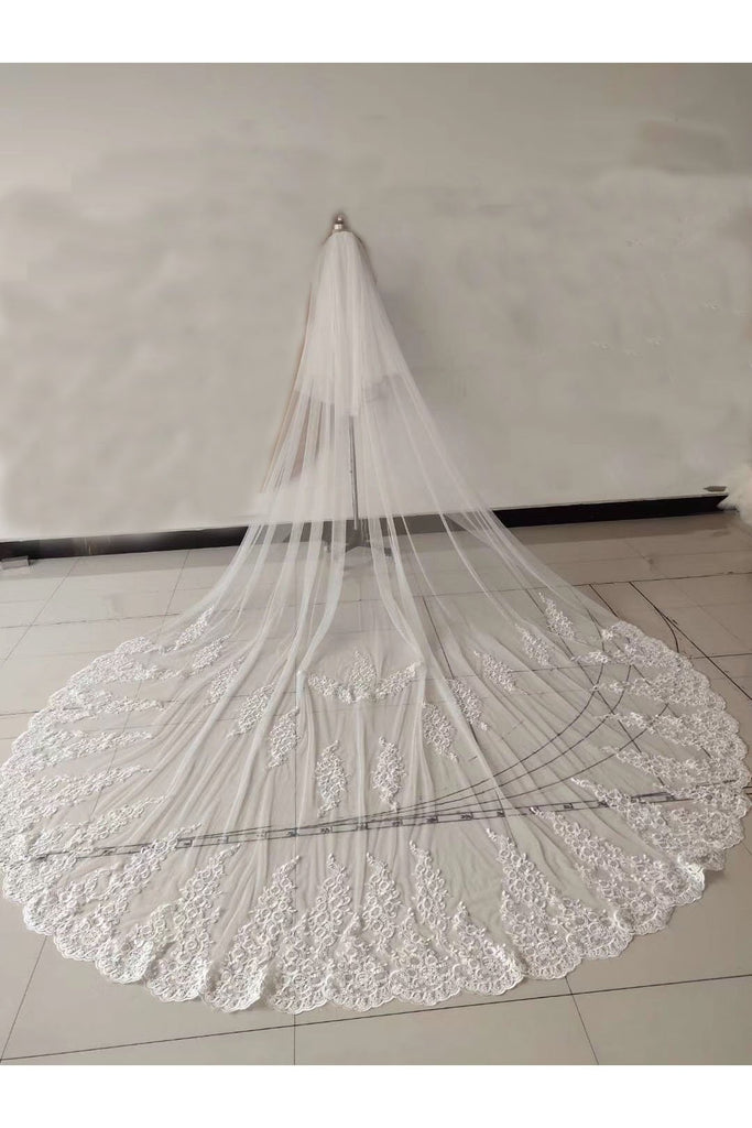 Ivory Lace Appliqued Cathedral Length Tulle Wedding Veil, Charming Bridal Veil V037